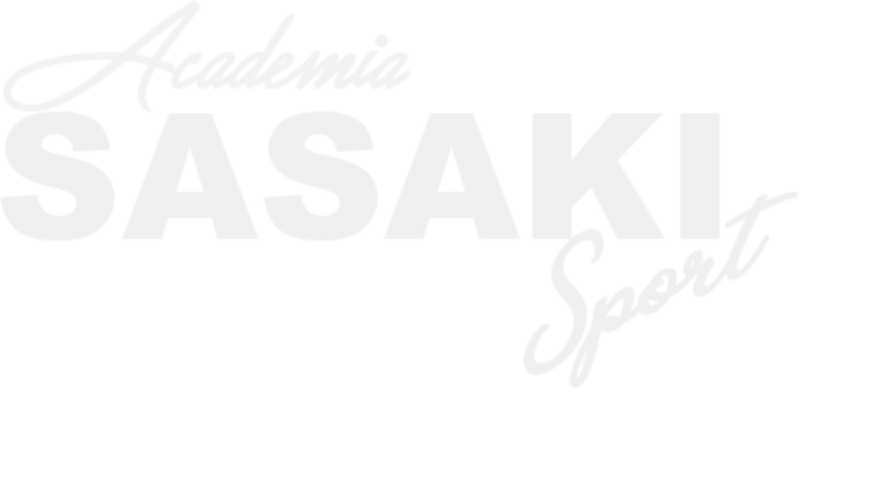 Academia Sasaki Sport